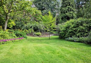 Optimiser l'expérience du jardin à Granges