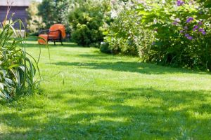 travaux jardin et paysage Granges